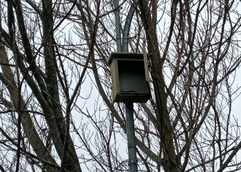 Klarifikasi RKN terkait accu yang tidak ada diboxnya.