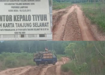 Jalan desa, di Tiyuh Karta tanjung Selamat puluhan tahun tak tersentuh pembangunan