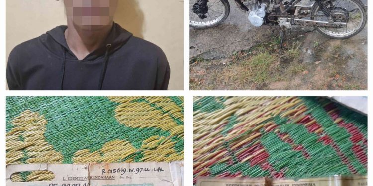 Polisi tangkap pelaku maling motor warga Marga Kencana
