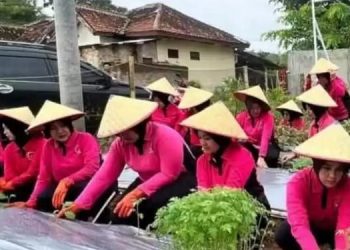 Launching Penguatan Program P2L, Bhayangkari Cabang Way Kanan Manfaatkan Tanam Sayur Mayur
