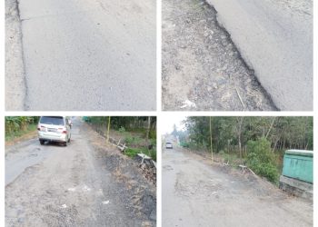Jalan di Tiyuh Makarti Penuh Lubang, Warga Tuding Truk Singkong Overload