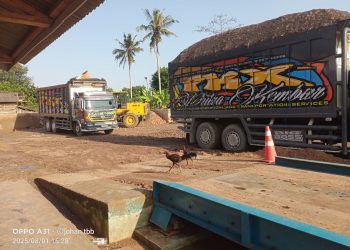 Diduga Langgar Perda, Lapak Singkong berkah di Tumijajar Gunakan Truk Overload