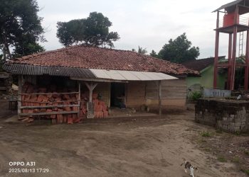 Di Balik Dinding Lapuk: Kisah Sunyi Rubini, Janda Lansia yang Terlupakan