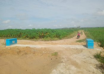 Pemerintah Tiyuh Terang Makmur Bangun Gorong-Gorong, Warga Rasakan Manfaat Nyata.