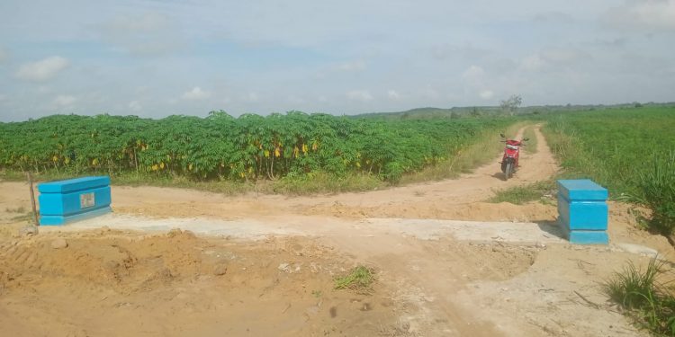 Pemerintah Tiyuh Terang Makmur Bangun Gorong-Gorong, Warga Rasakan Manfaat Nyata.