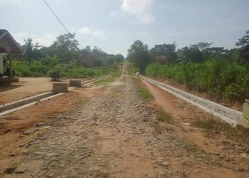 Tiyuh Terang Makmur Realisasikan Dana Desa untuk Pembangunan Drainase, Kurangi Risiko Banjir dan DBD