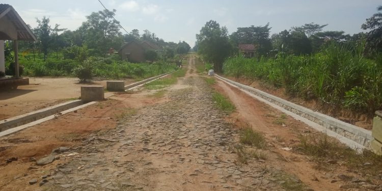 Tiyuh Terang Makmur Realisasikan Dana Desa untuk Pembangunan Drainase, Kurangi Risiko Banjir dan DBD