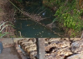 Polisi Diduga Jadi Pemilik Lapak Karet, Buang Limbah ke Sungai