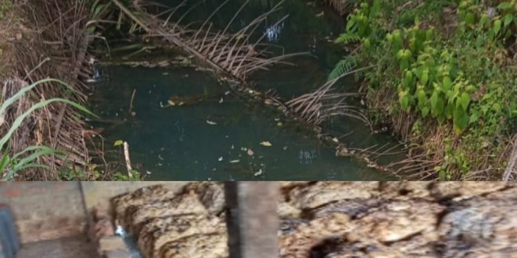 Polisi Diduga Jadi Pemilik Lapak Karet, Buang Limbah ke Sungai