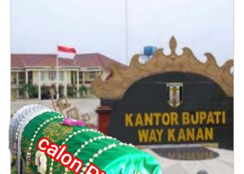 Misteri SK Pemberhentian CPNS di Way Kanan: Keluarga Pertanyakan Masa Kerja yang Tidak Sesuai Fakta