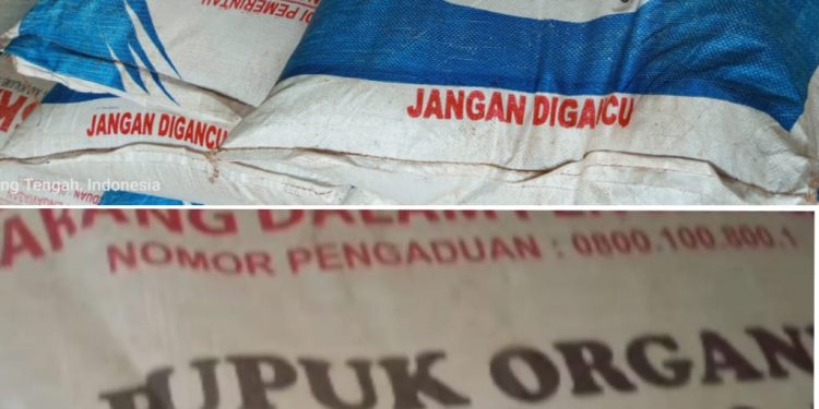 Diduga Ada Permainan Harga Pupuk Bersubsidi di Tiyuh Kagungan Ratu Agung, Petani Menjerit