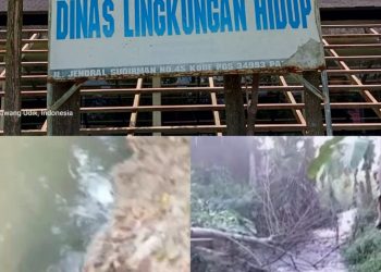 Warga Resah Limbah Kandang Babi Diduga Cemari Sungai, DLH Tubaba Akan Tindaklanjuti