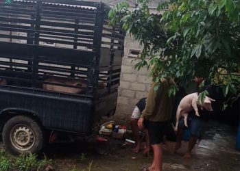 Kandang Babi Ilegal Diduga Milik Sekdes Makarti, Warga Mengaku Tak Pernah Dilibatkan