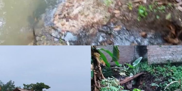 Diduga Tak Miliki Izin, Kandang Babi Milik Kamto Buang Limbah ke Sungai, Warga Resah!