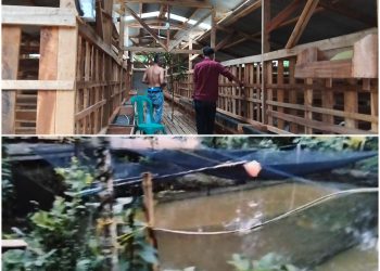 Dugaan Kisruh Dana BUMTi Tirta Kencana: Modal Rp225 Juta Diduga Hanya Dikelola Rp100 Juta, Ketua Mundur, Pengurus Saling Bongkar