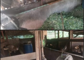 Kepalo Tiyuh Mawardi Tegaskan Komitmen Penguatan BUMTi melalui Dana Desa 2025