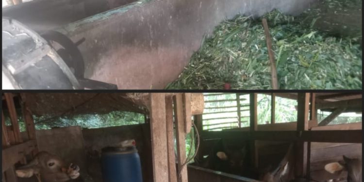 Kepalo Tiyuh Mawardi Tegaskan Komitmen Penguatan BUMTi melalui Dana Desa 2025