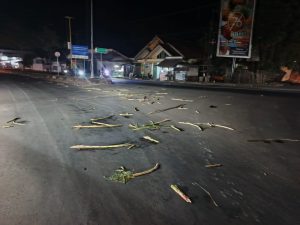 Diduga Truk Bermuatan Tebu Overload, Kabel Listrik Putus di Panaragan Jaya, Warga Terancam Bahaya
